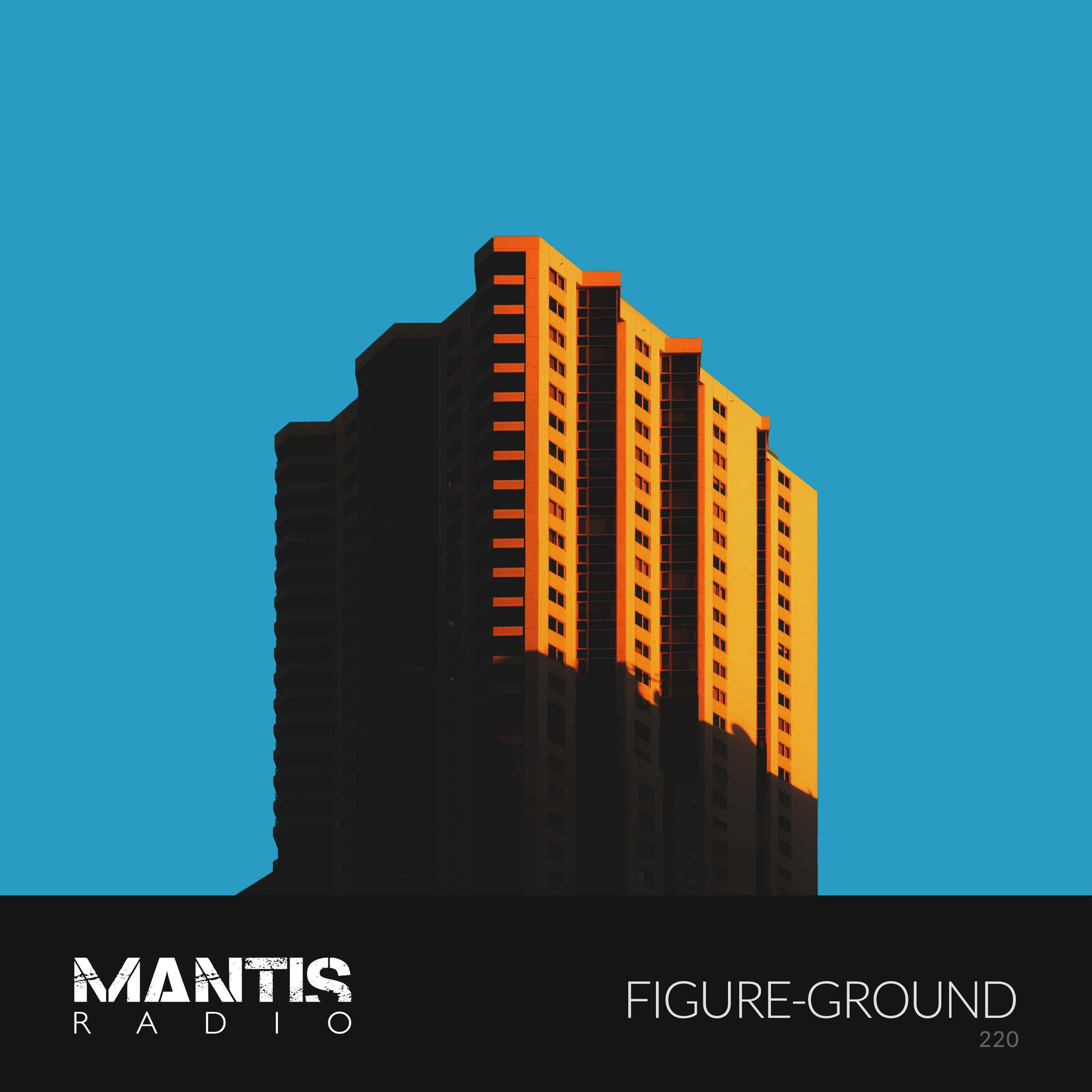 Mantis Radio 220 - Figure-Ground