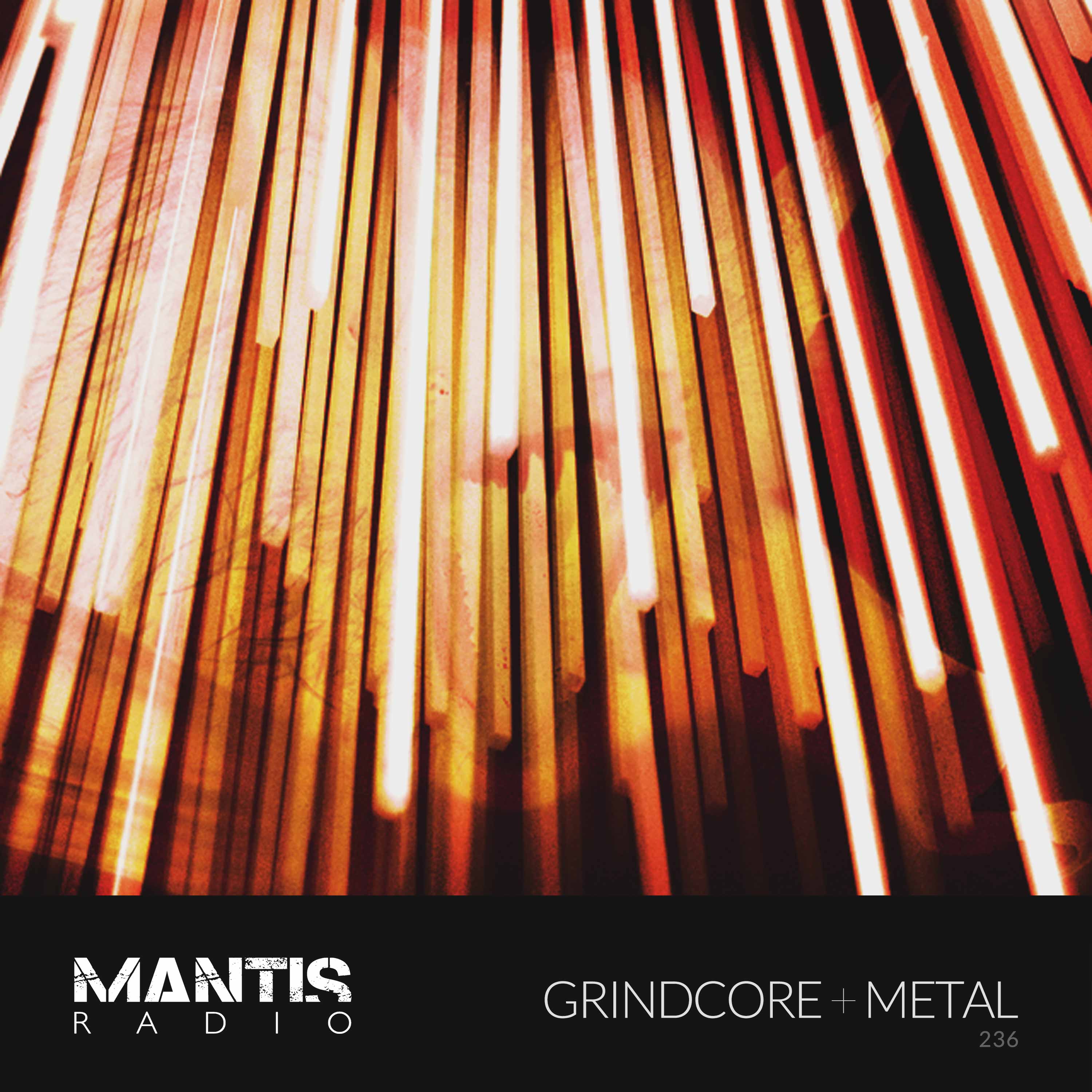 Mantis Radio 236 - Grindcore + Metal