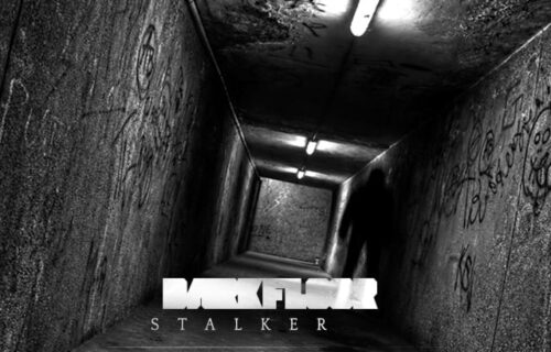 Stalker by Swarm Intelligence