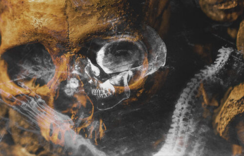 Casual Violence on Mantis Radio