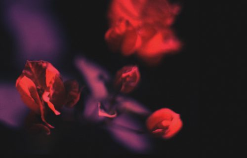Borealis / Jes Somfay on Mantis Radio