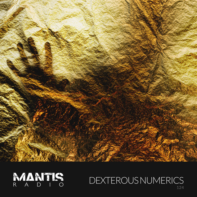Dexterous Numerics on Mantis Radio