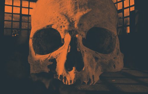 Drugstore on Mantis Radio