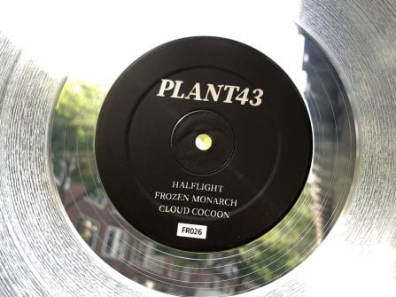 Plant43