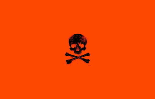 black skull and crossbones stencil in centre of rich orange square