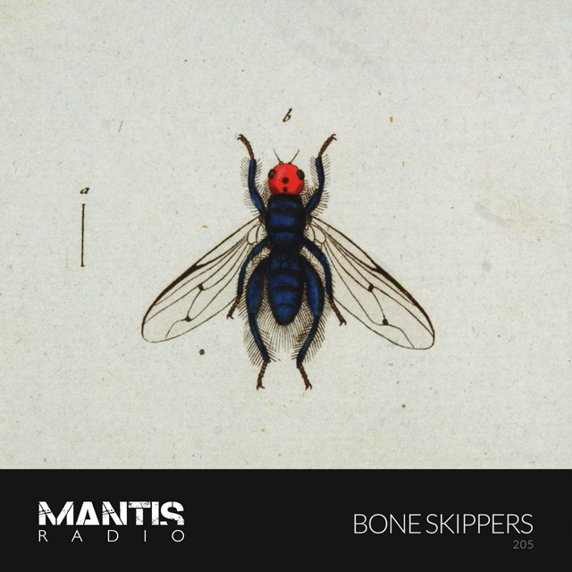 Bone Skippers (Kenny Campbell + Huck Farper) on Mantis Radio