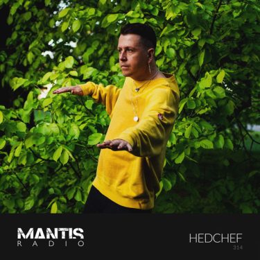 Hedchef wearing yellow in a vivid green thicket - Mantis Radio