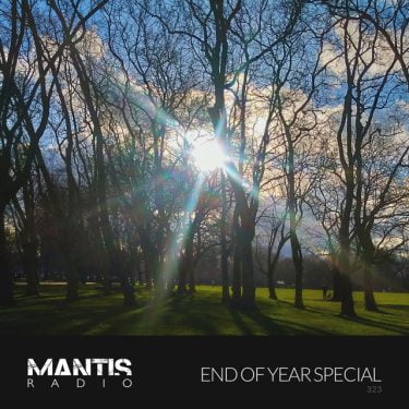 Sunlight beaming through trees in a wood, blue skies, green grass, marking the 2nd end of year round up for Mantis Radio