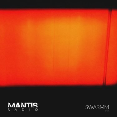 Red and orange screen - SWARMM on Mantis Radio