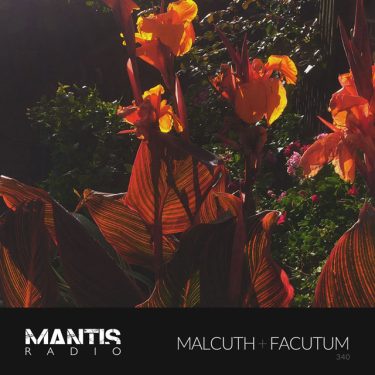 Red flowers, sunlit in shadow - Malcuth + Facutum - Mantis Radio