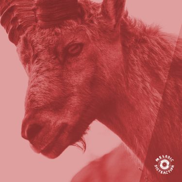 Goat heat red coloured - Melodic Distraction - March 2023 - Darkfloor Sound