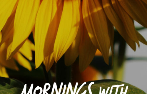Mornings With Mx 48