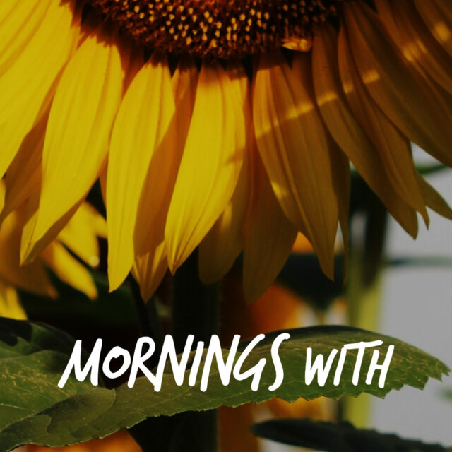 Mornings With Mx 48