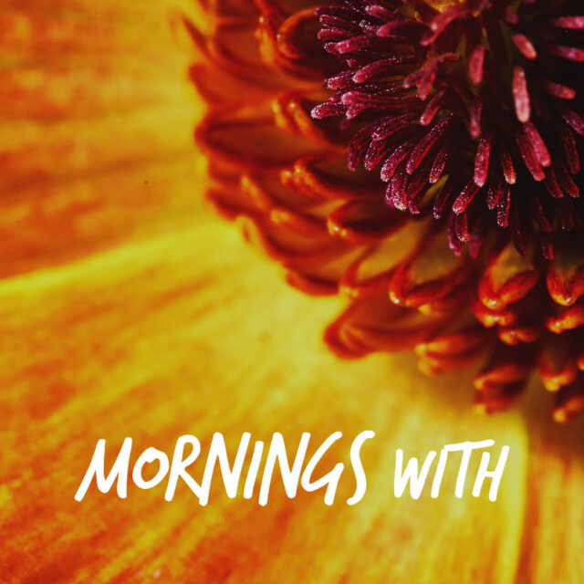 Mornings With Mx 56