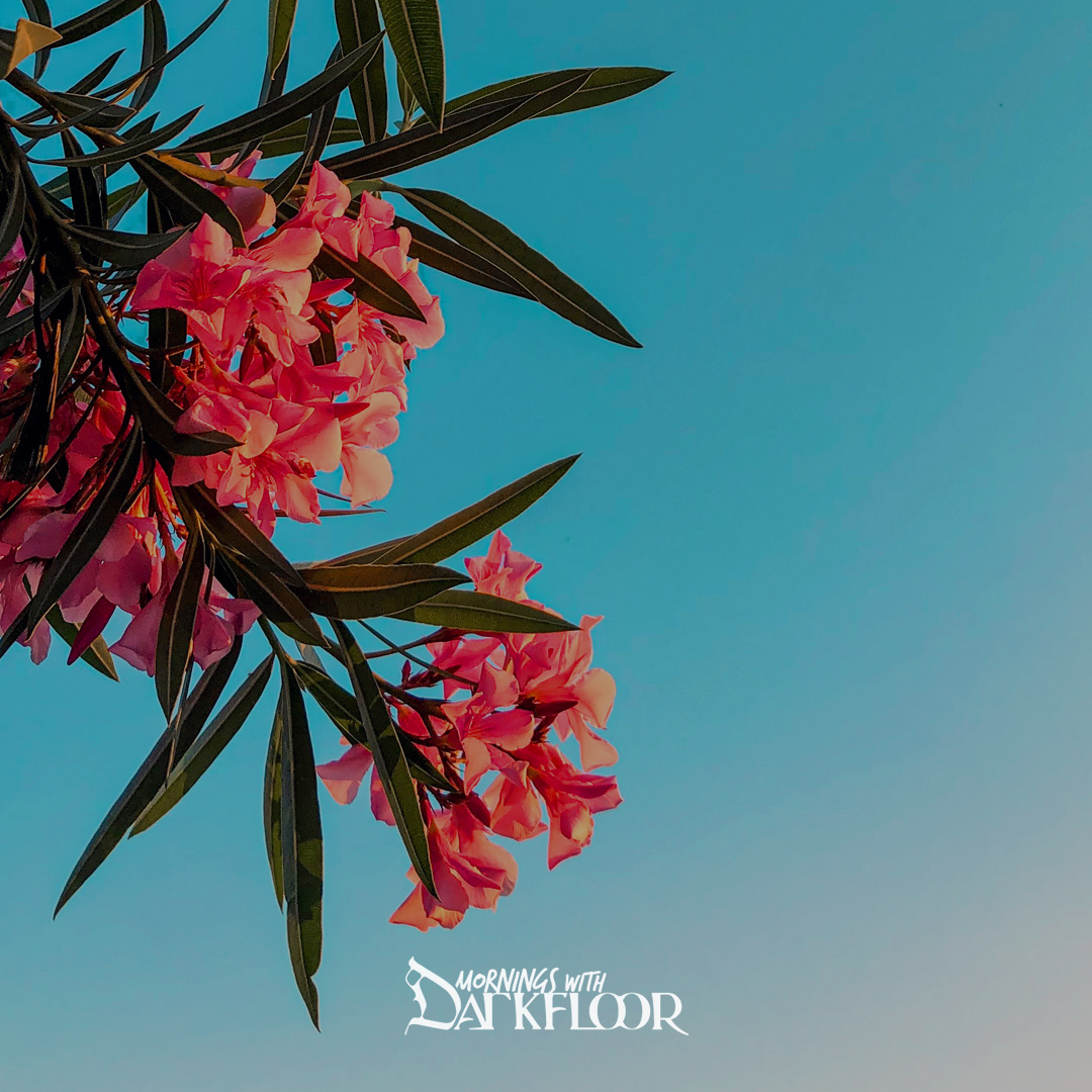 Mornings With Darkfloor June 26, 2025