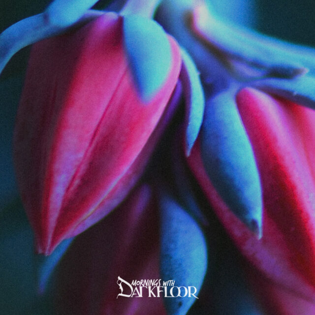 Mornings With Darkfloor July 17, 2025