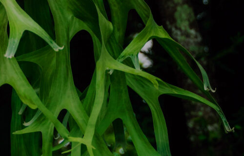 Mornings with Darkfloor - October 23, 2025