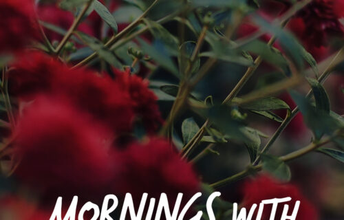 Mornings With Mx 100