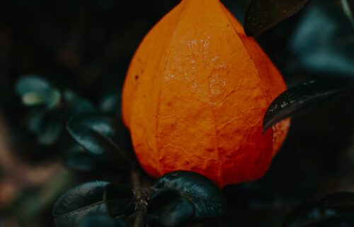 Mornings with Mx - November 6, 2025