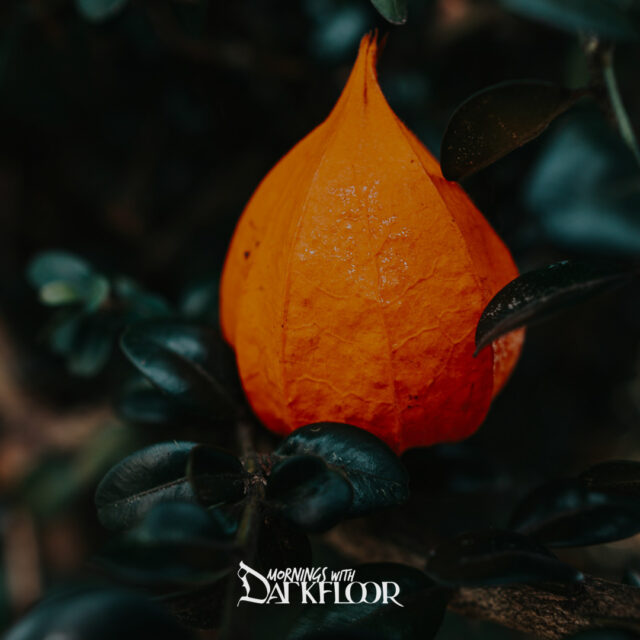 Mornings with Mx - November 6, 2025