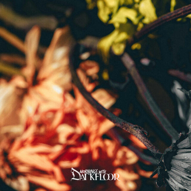 Mornings With Mx 99 — weekly radio