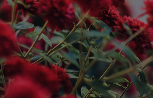 Mornings With Mx 100