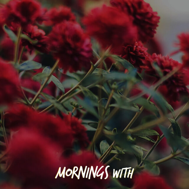 Mornings With Mx 100