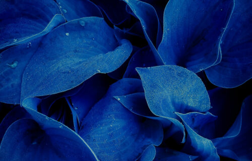 Mornings With Mx 101