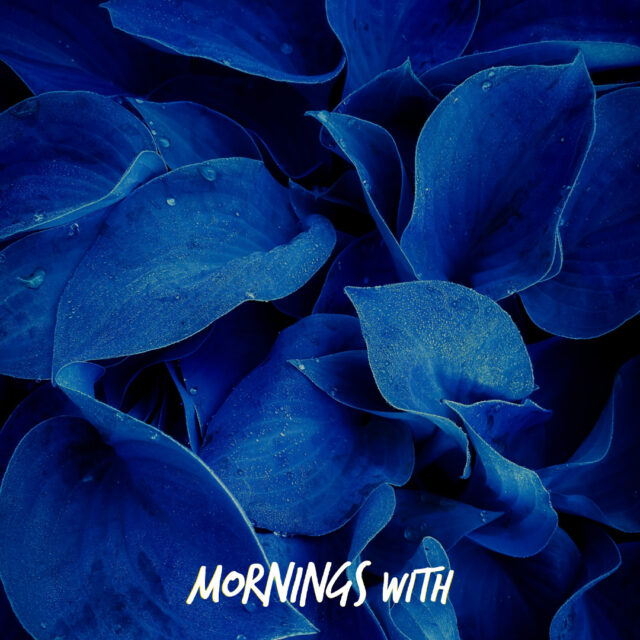 Mornings With Mx 101