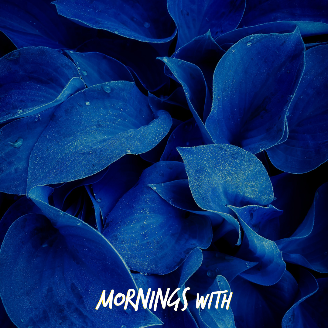 Mornings With Mx 101