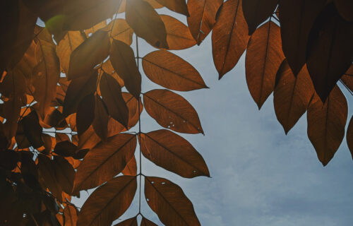 Mornings With Mx 102