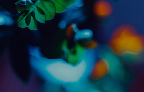 Mornings With Mx 103