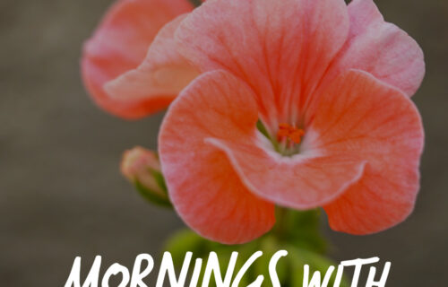 Mornings With Mx - January 29, 2026