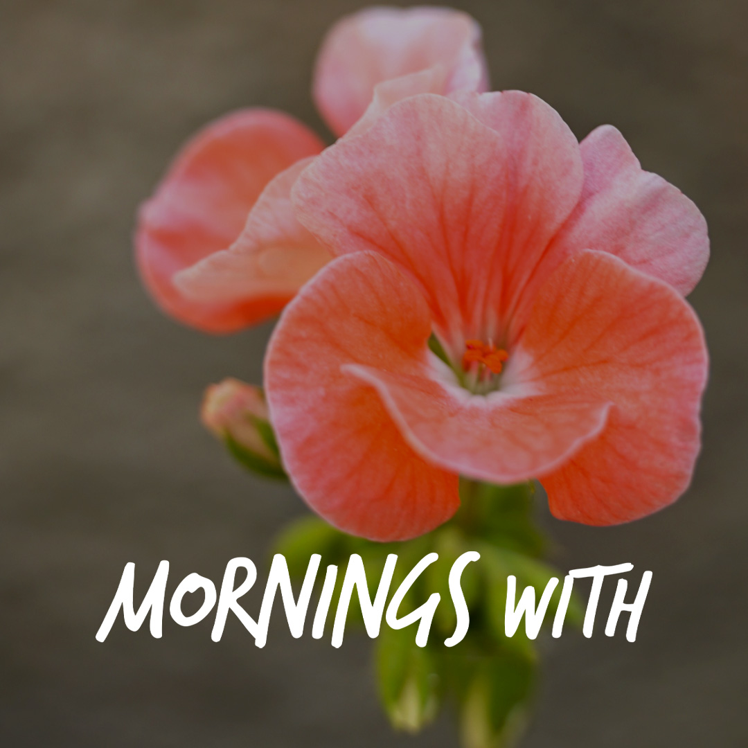 Mornings With Mx - January 29, 2026