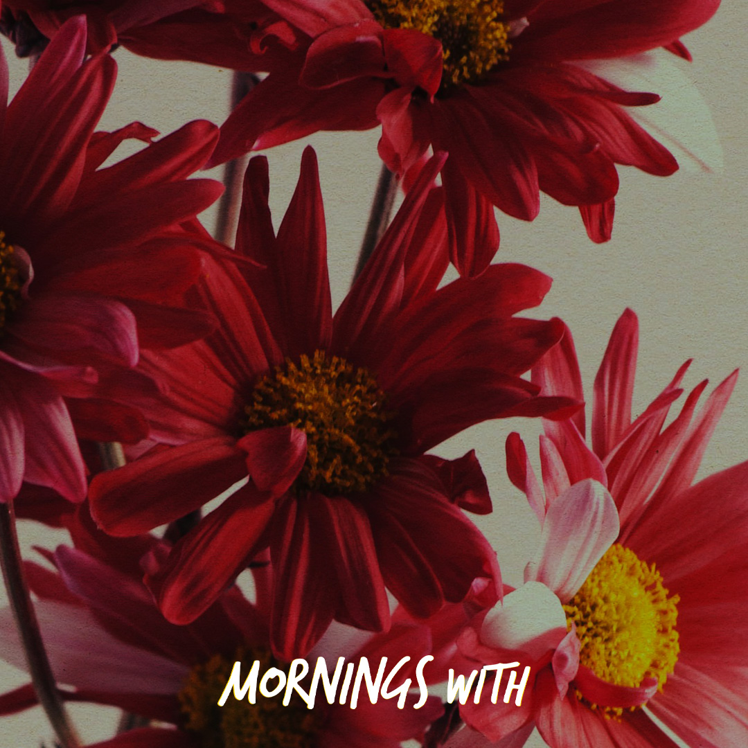 Mornings With Mx 104 - January 15, 2025