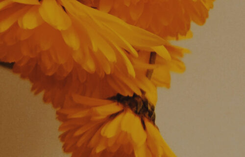 Mornings With Mx - January 22, 2026