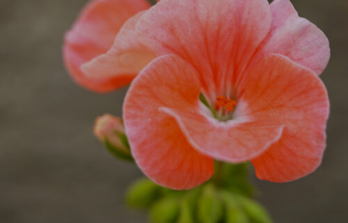 Mornings With Mx - January 29, 2026