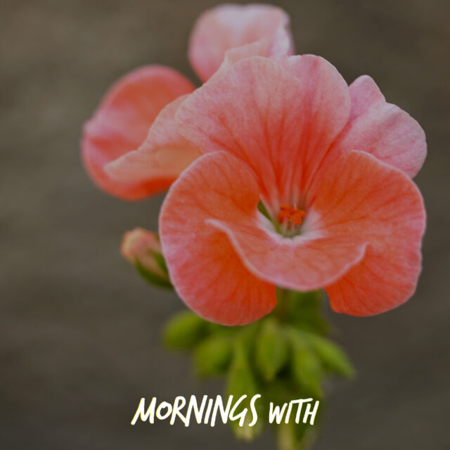 Mornings With Mx - January 29, 2026