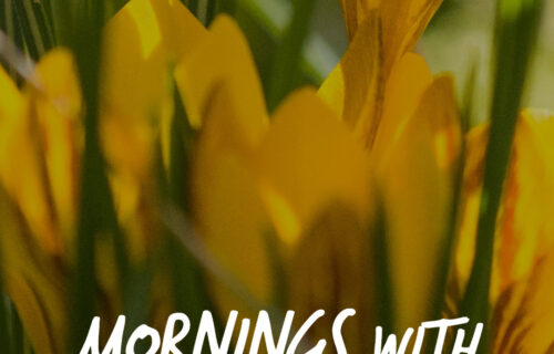 Mornings With Mx - February 5, 2026