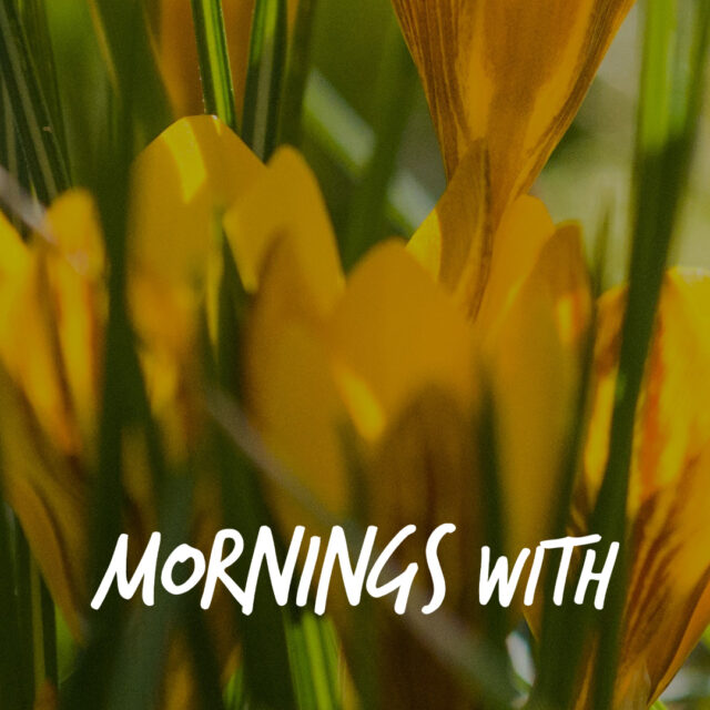Mornings With Mx - February 5, 2026