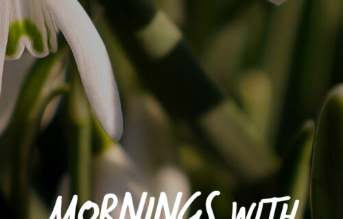 Mornings With Mx 109