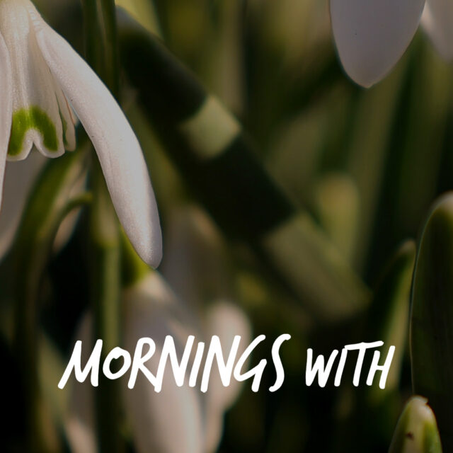 Mornings With Mx 109