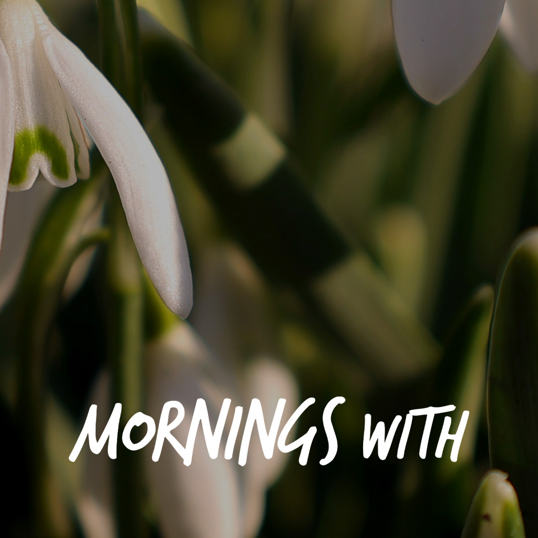 Mornings With Mx 109