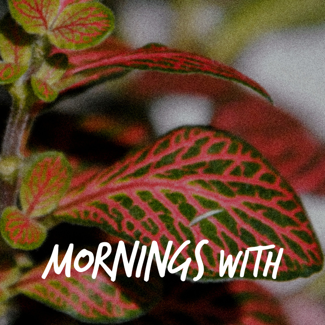 Mornings With Mx 110 - February 26, 2026