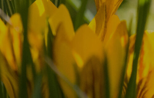 Mornings With Mx - February 5, 2026