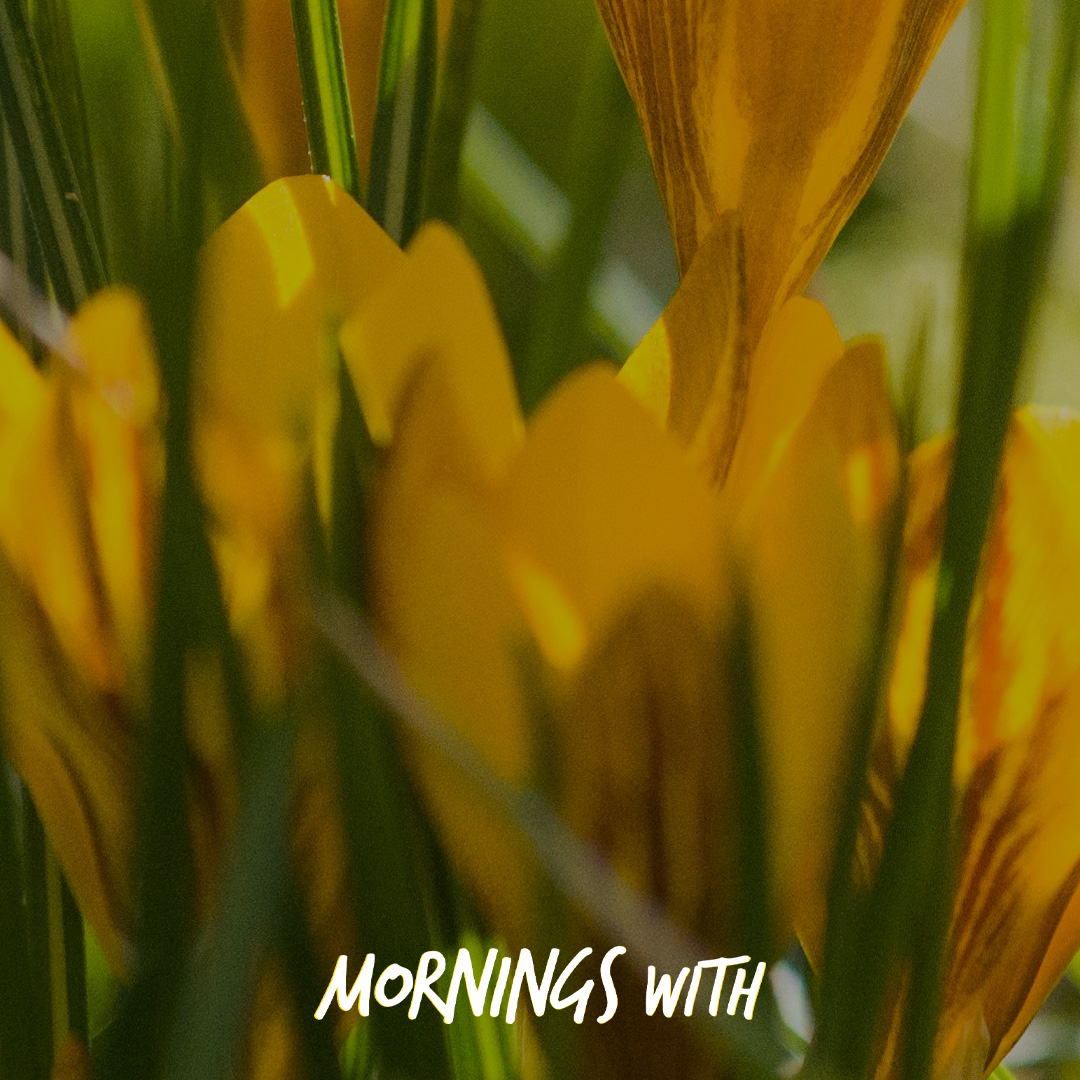 Mornings With Mx - February 5, 2026