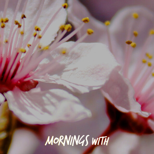 Mornings With Mx - February 12, 2026