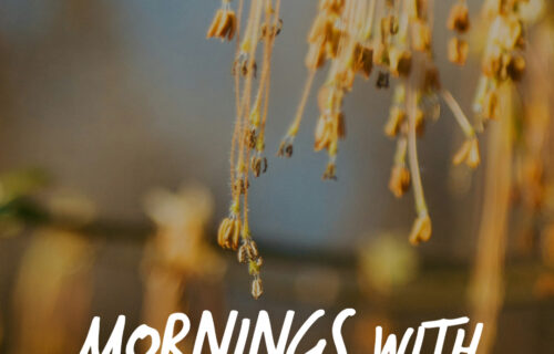 Mornings With Mx 113 - March 19, 2026