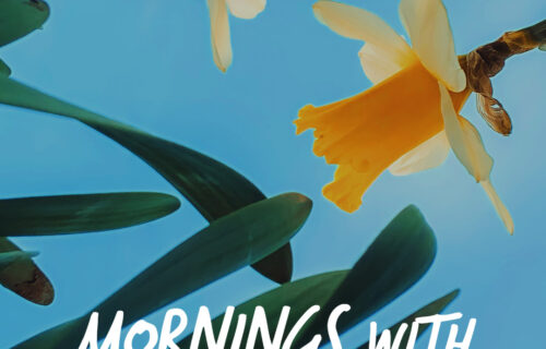 Mornings With Mx 114