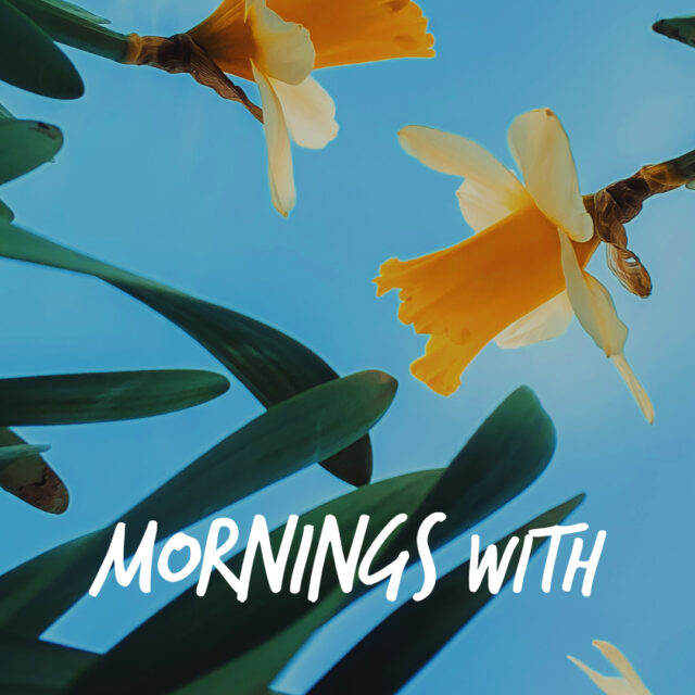 Mornings With Mx 114